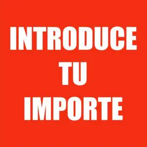 INTRODUCE TU IMPORTE